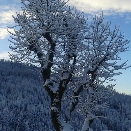 דירה Almhaus Margit