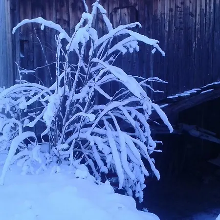 Almhaus Margit דירה