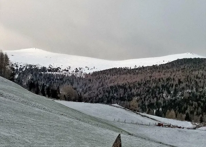 Apartament Almhaus Margit *