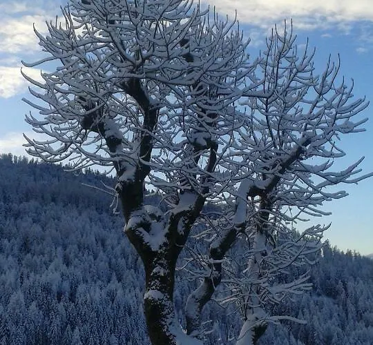 Apartament Almhaus Margit