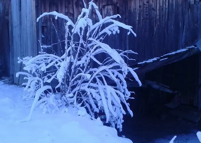 Almhaus Margit Apartament