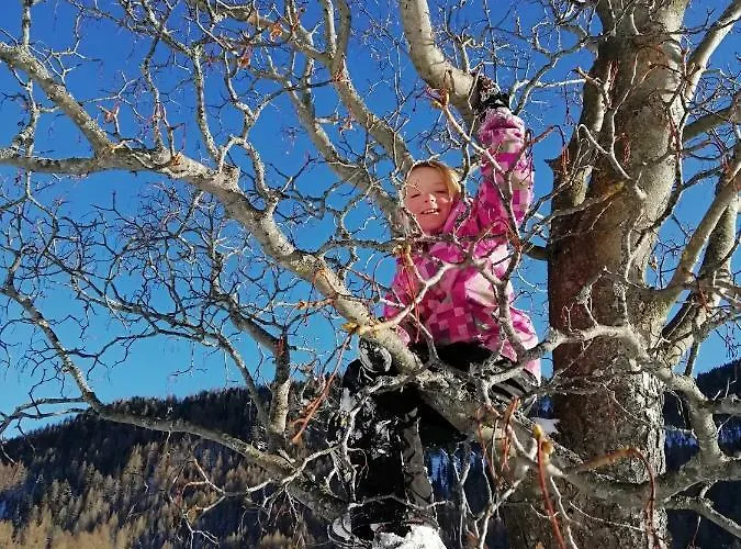 Almhaus Margit Apartament